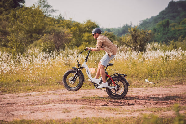 What Are the Factors That Determine the Weight of a Folding Electric Bike?