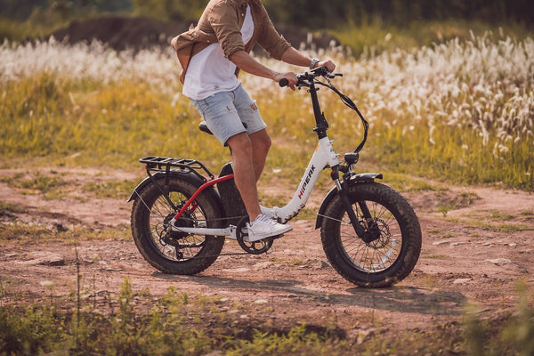 Fat Tire Electric Bike or Electric Tricycle, which One to Choose?