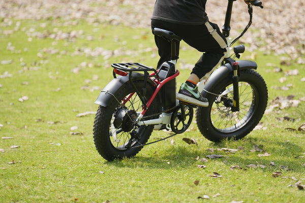 Why do You Need a Fat Tire Electric bike?