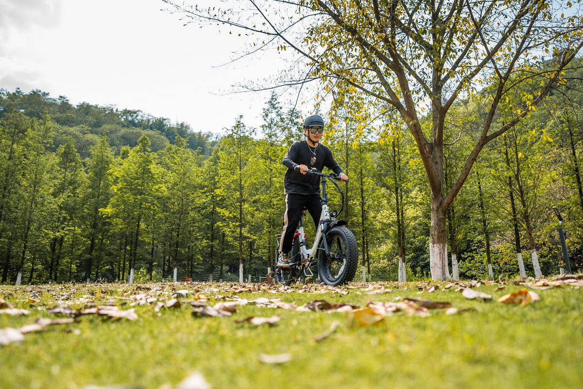 electric bike comparison