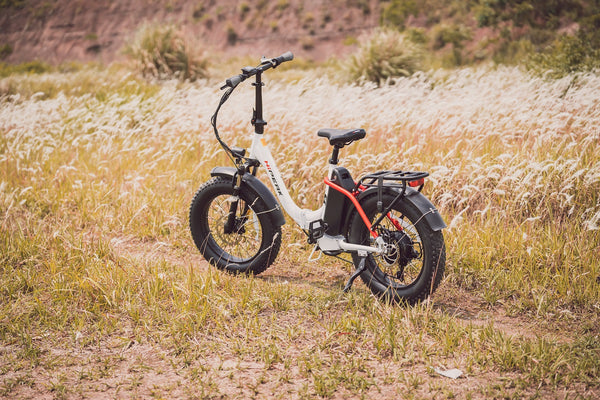 Preparing for the economic recession with electric bikes